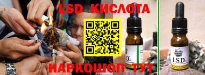 прущие грибы Мариинск